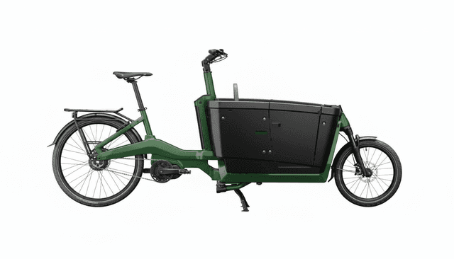 Smark Light Model D1